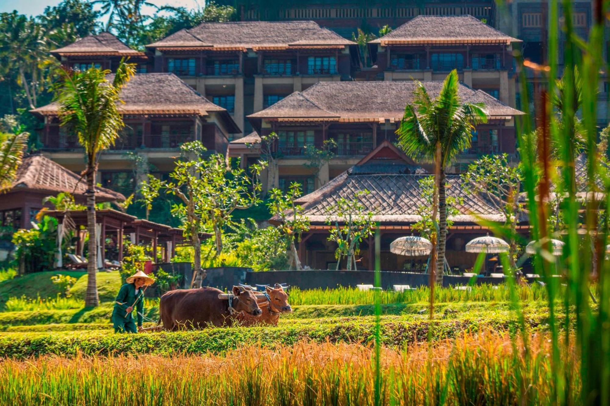 Mandapa, A Ritz-Carlton Reserve Ubud  Exterior photo